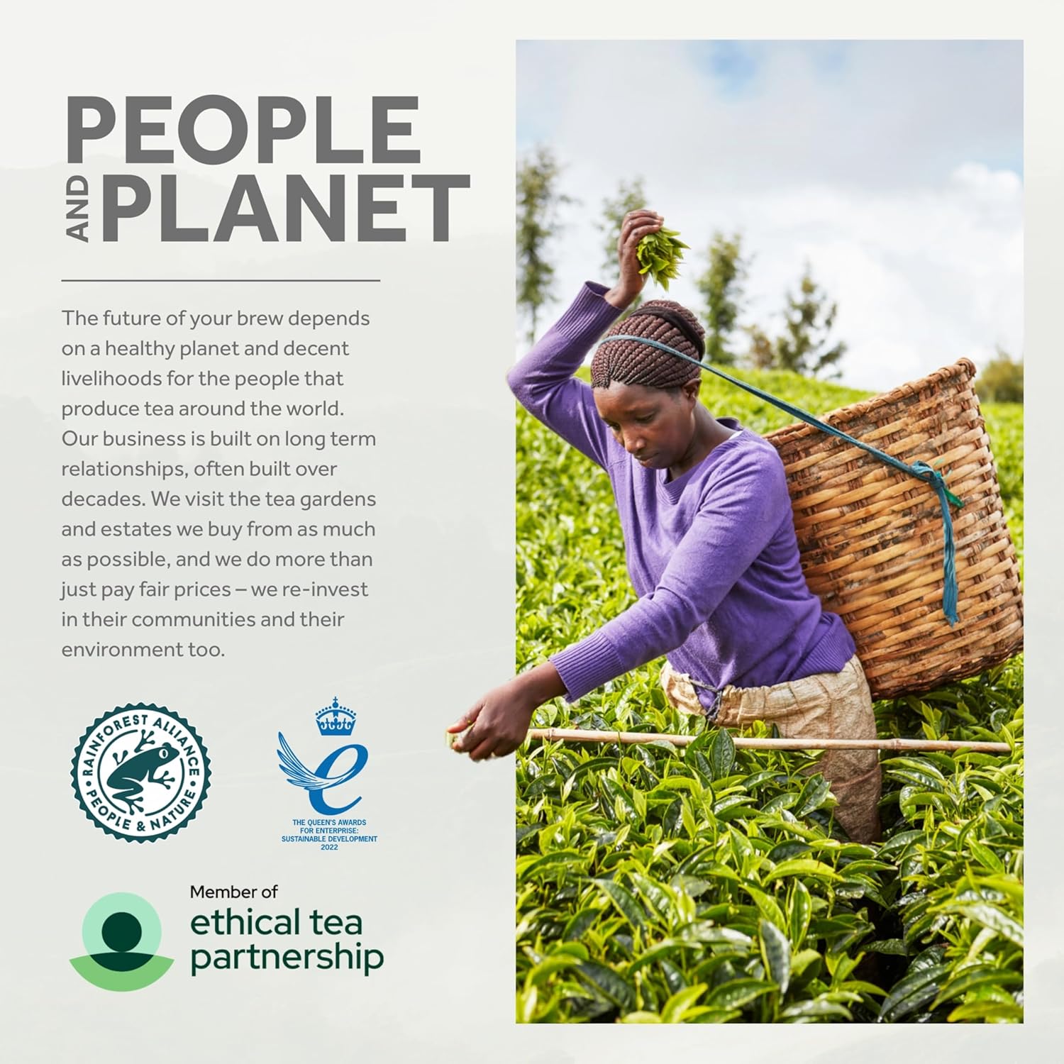 81EGyu8BMOL._AC_SL1500_