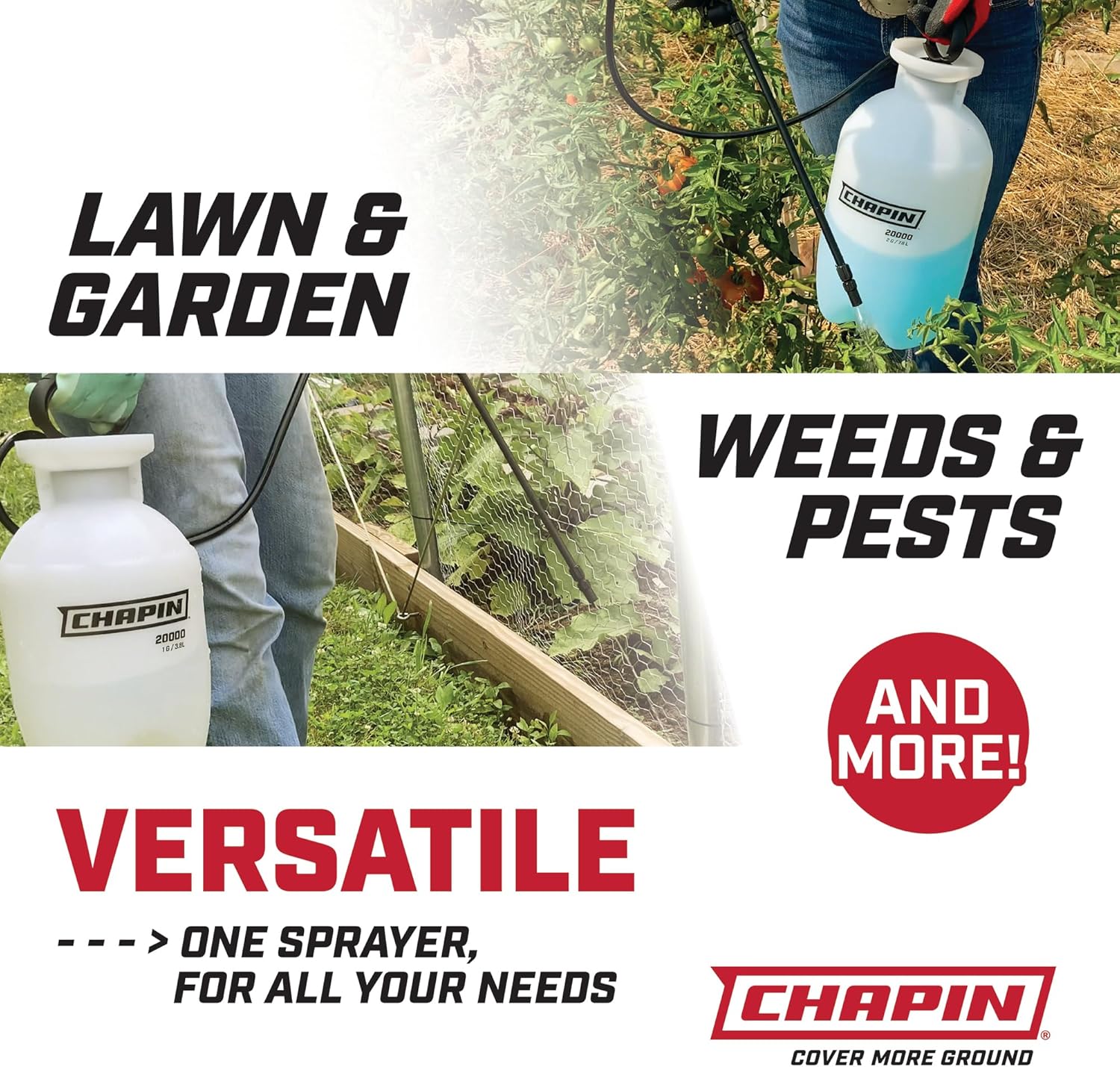 81meNxCtSPL._AC_SL1500_