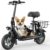 550W 18.6Mph C1S-Fp9