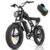 Q20-1000W-48V 15.6AH black